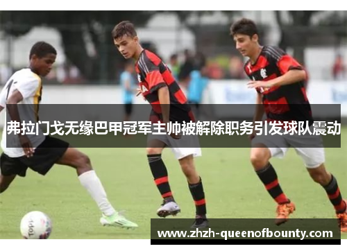 弗拉门戈无缘巴甲冠军主帅被解除职务引发球队震动